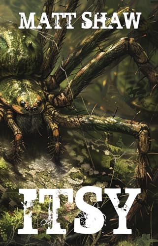 ITSY book cover