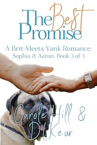 The Best Promise book cover