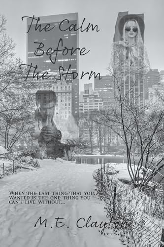 The Calm Before the Storm cover