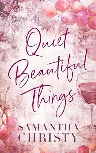Quiet Beautiful Things book cover