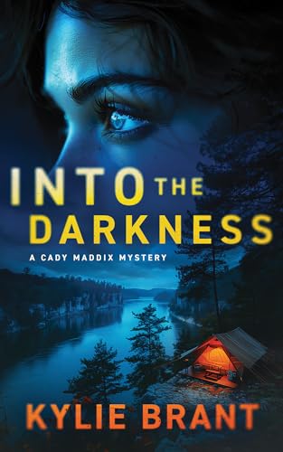 Into the Darkness book cover