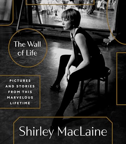The Wall of Life book cover