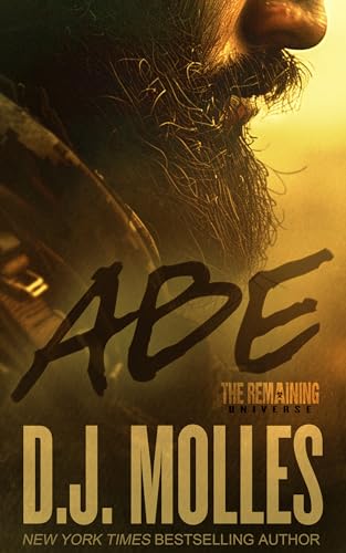 Abe book cover