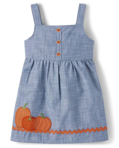 Gymboree,and Toddler Embroidered Sleeveless Skirtall Jumpers,Pumpkin Patch,10