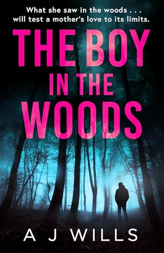 The Boy in the Woods book cover