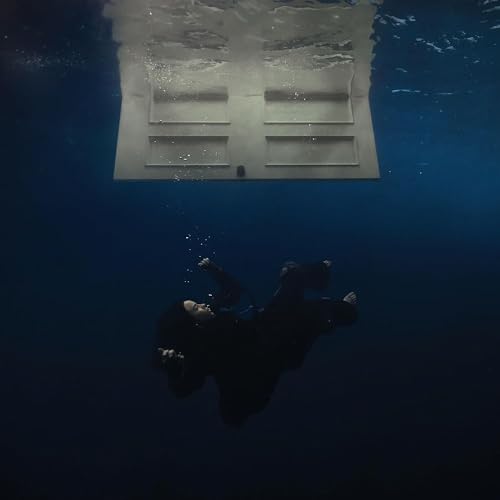 HIT ME HARD AND SOFT[Recycled Black LP]