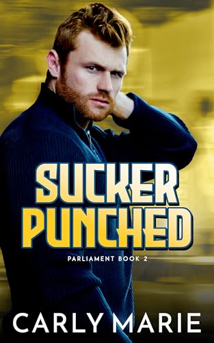 Sucker Punched book cover