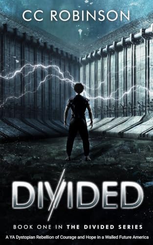 Discounted Book
