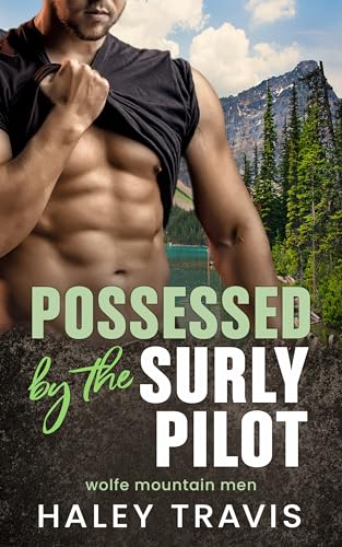 Possessed by the Surly Pilot book cover