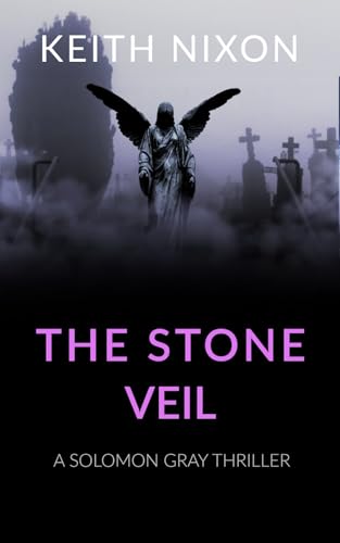The Stone Veil book cover