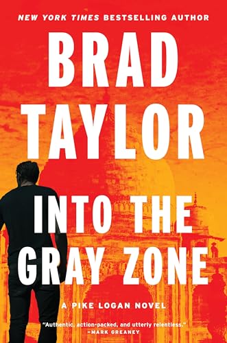 Into the Gray Zone cover