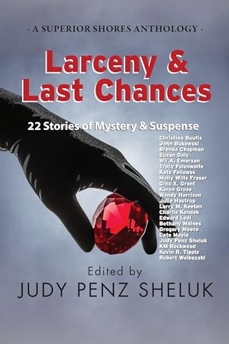 Larceny & Last Chances: 22 Stories of Mystery & Suspense book cover