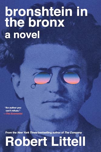 Bronshtein in the Bronx book cover