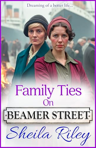 Family Ties on Beamer Street book cover