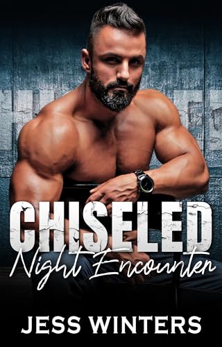 Chiseled Night Encounter book cover
