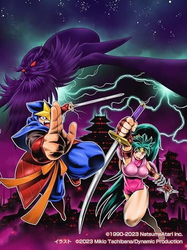 ナツメアタリで一番面白かったゲームを決める人気投票&ランキング 3位 闇の仕事人KAGE Shadow of The Ninjaの画像