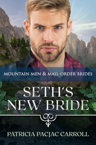 Seth's New Bride book cover