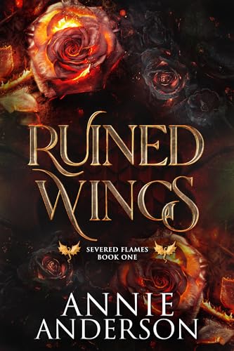 Ruined Wings book cover