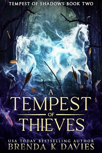 A Tempest of Thieves book cover
