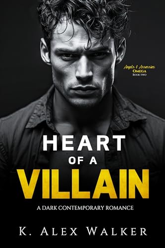 Heart of a Villian cover