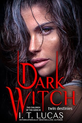 Dark Witch: Twin Destinies book cover