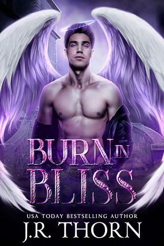 Burn in Bliss book cover