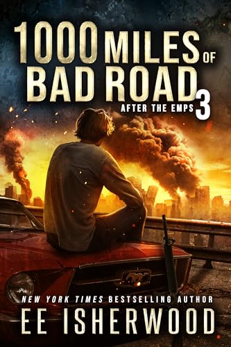 1000 Miles of Bad Road 3 book cover