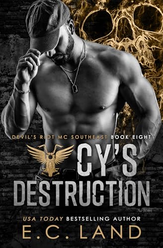 Cy's Destruction book cover