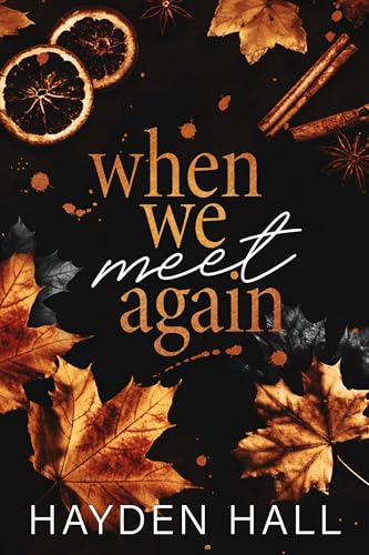 When We Meet Again cover