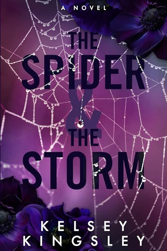 The Spider & the Storm cover
