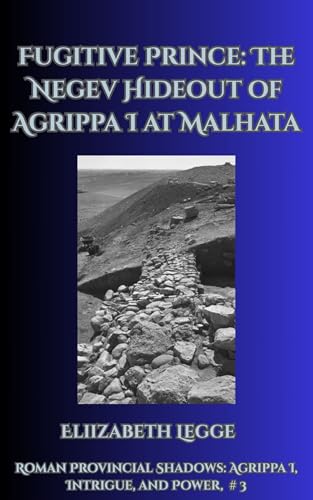 Fugitive Prince cover