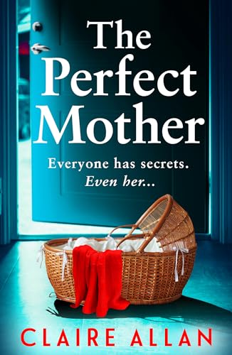 The Perfect Mother book cover