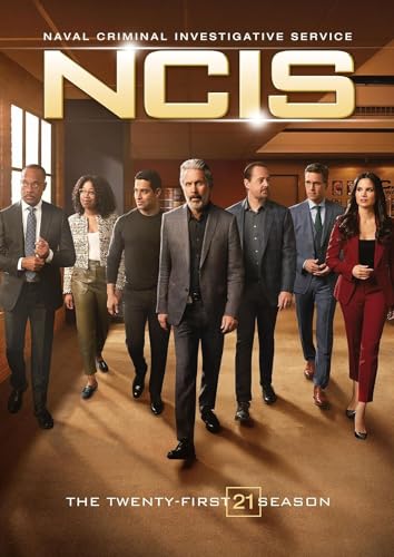 NCIS: The Twenty-First Season [DVD]