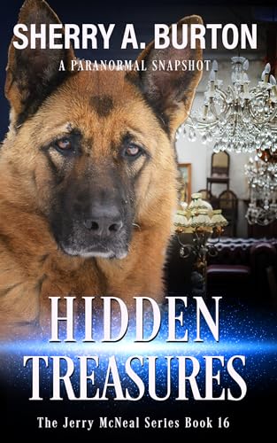 Hidden Treasures book cover