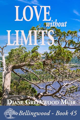 Love Without Limits book cover
