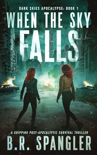 When the Sky Falls book cover