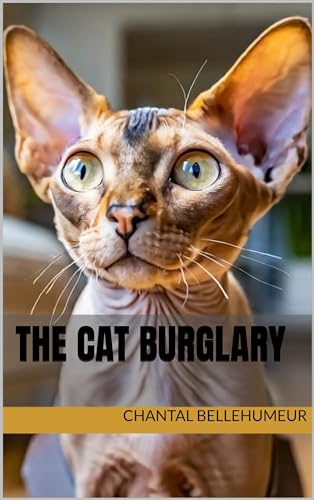 The Cat Burglary book cover