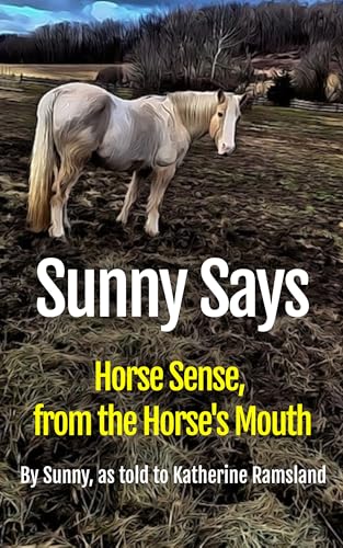 Sunny Says book cover