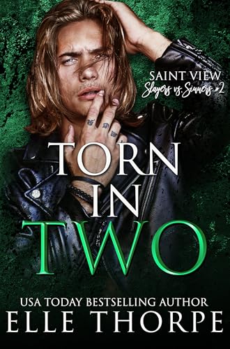 Torn In Two book cover