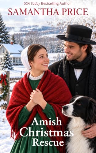 Amish Christmas Rescue book cover