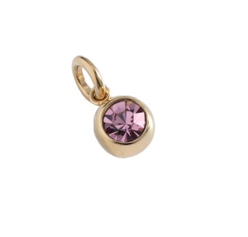 Alex and Ani Little Loves Charm Bundle Interchangeable Birthstone Charm, June