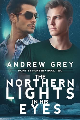 The Northern Lights in His Eyes book cover