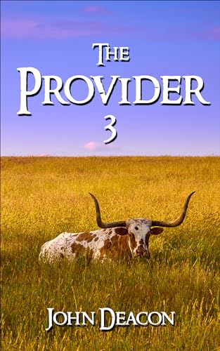 The Provider 3 book cover