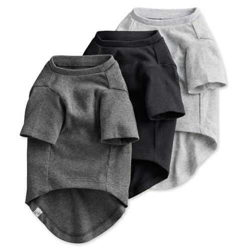 Pet Passion Multipack 100% Organic Cotton Dog Short Sleeve T-Shirt Pet Tees for All Breeds, Gray Ombre, Medium