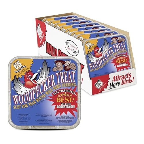 C&S Woodpecker Suet Treat, Outdoor Wild Bird Food for Woodpeckers, Flickers and More, 8 Pack