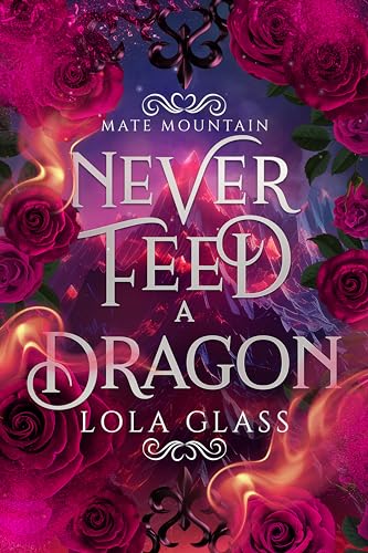 Never Feed a Dragon cover