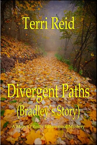Divergent Paths book cover