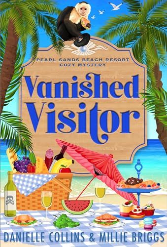 Vanished Visitor book cover