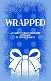Wrapped: A Sentient Object Birthday Romance (Kyleverse Book 3)