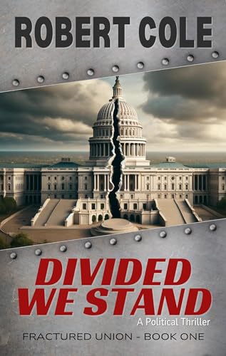 Divided We Stand book cover